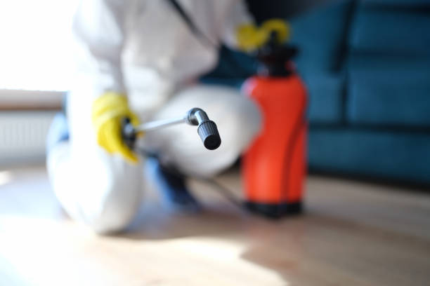 Biohazard Mold Removal in Brook Park, OH