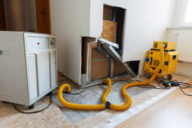Best Biohazard Mold Removal  in Brook Park, OH